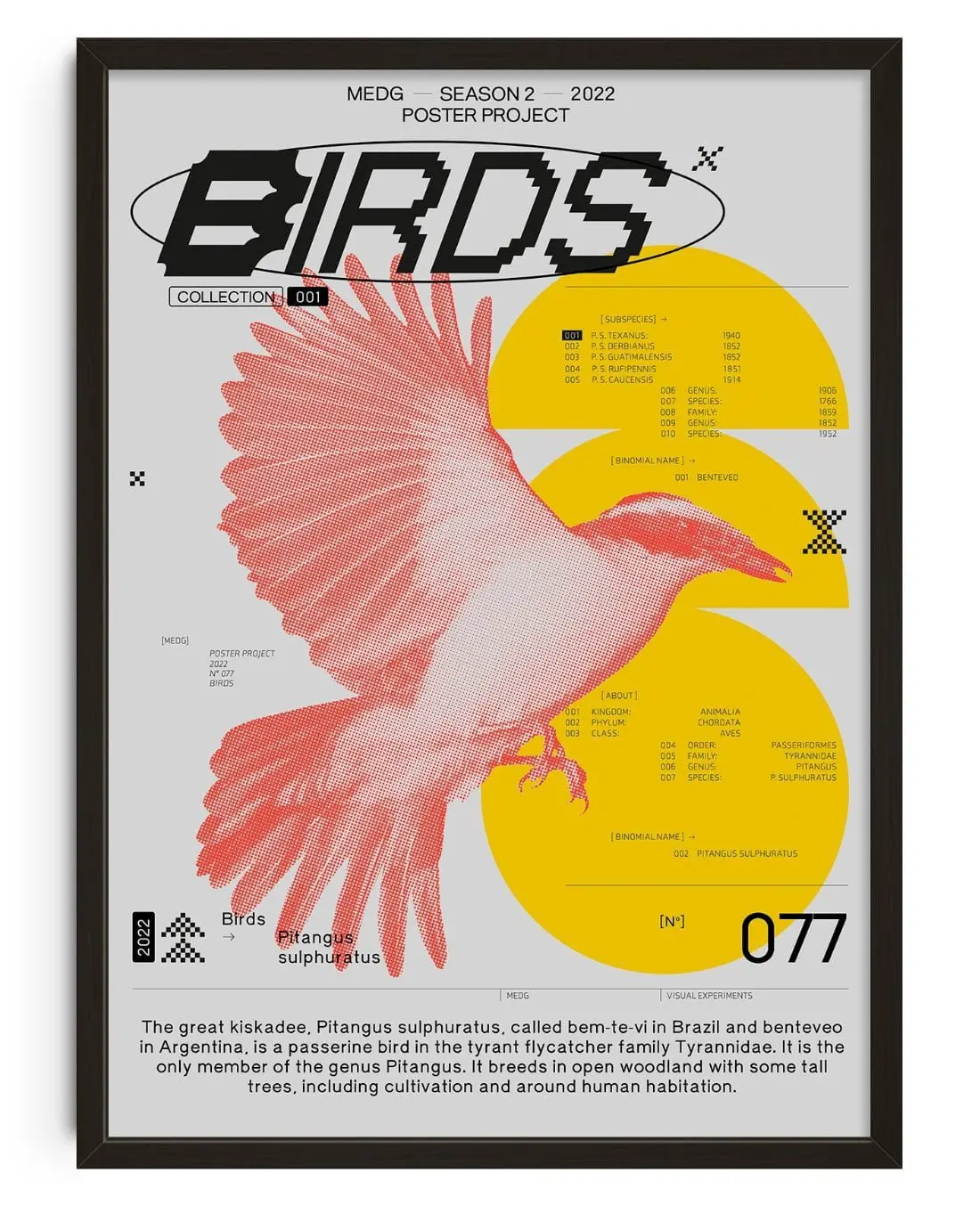 59664-birds-1.webp Birds