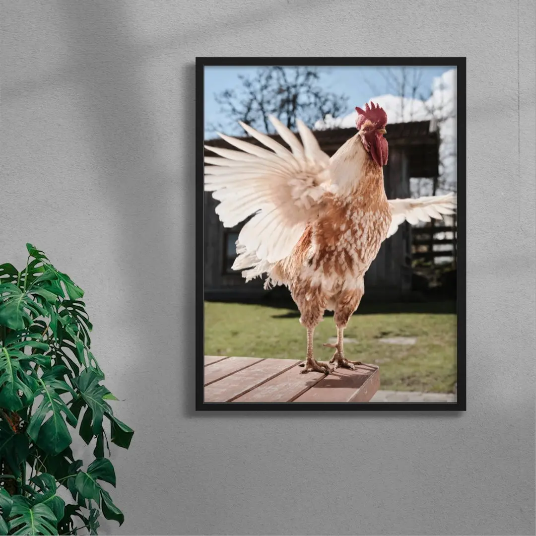 Backyard Rooster