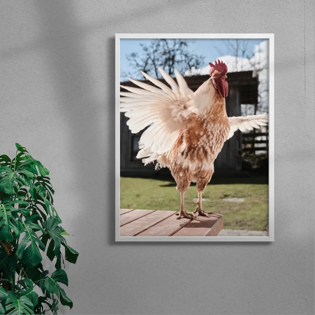 Backyard Rooster