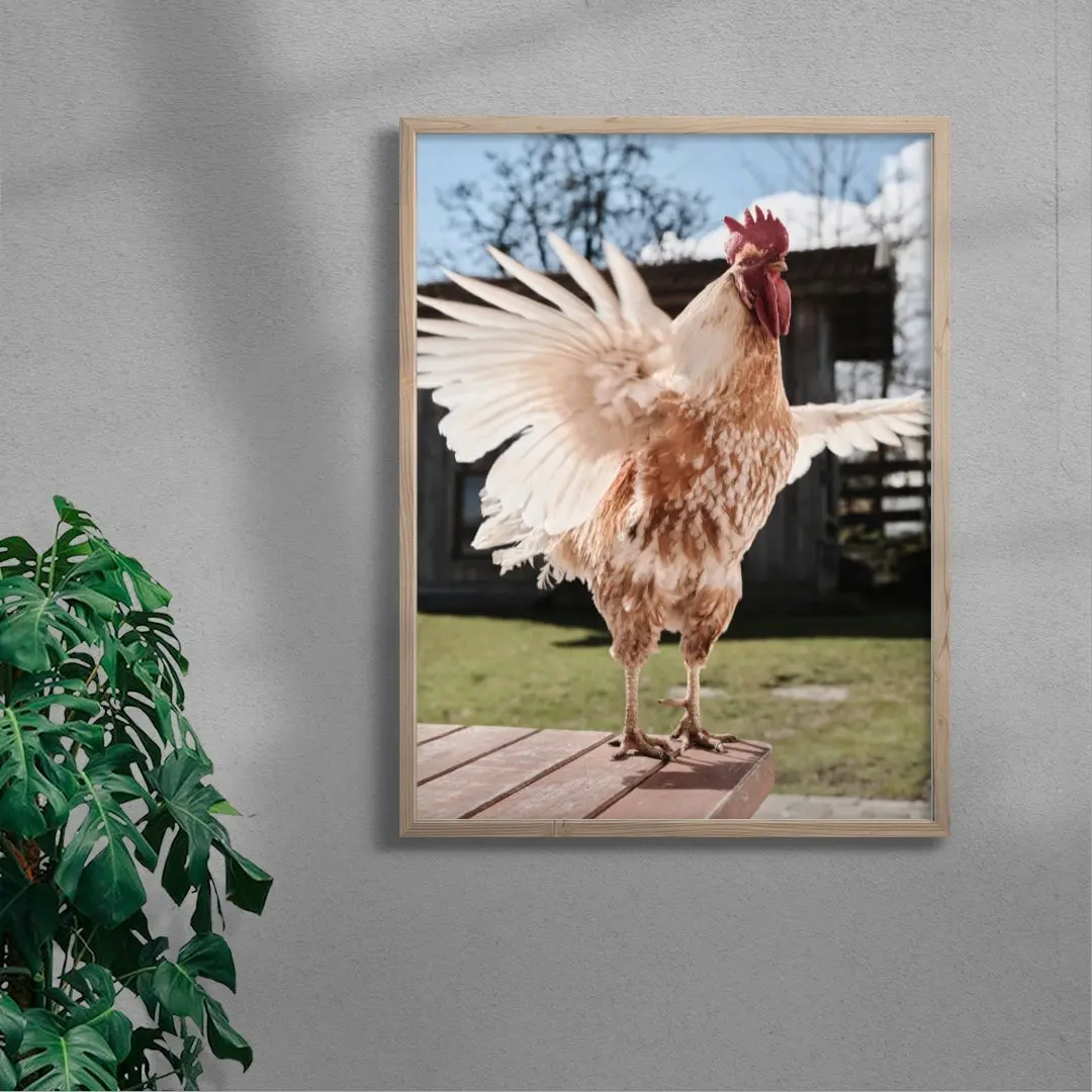 Backyard Rooster