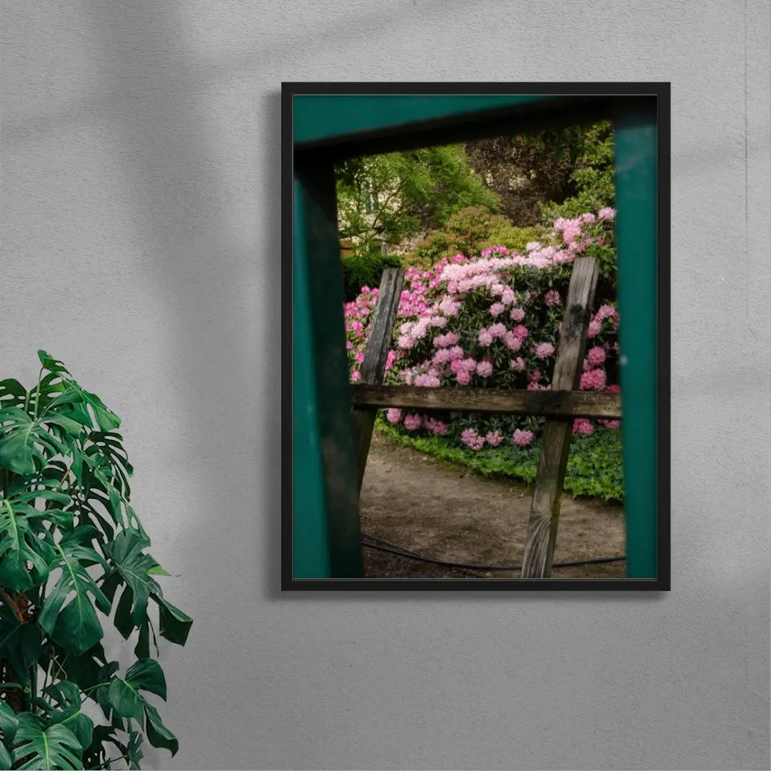 Pink Rhododendrons