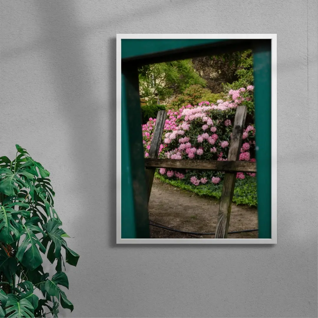 Pink Rhododendrons