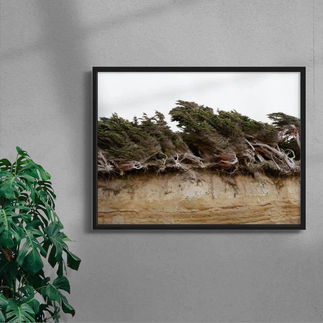 7420-windblown-trees-4.webp Windblown Trees