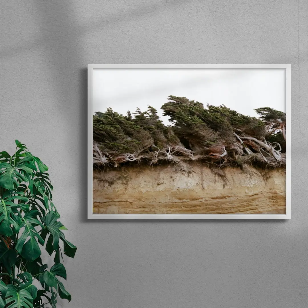 7420-windblown-trees-5.webp Windblown Trees