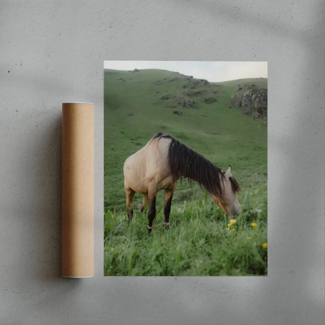 7437-graze-3.webp GRAZE
