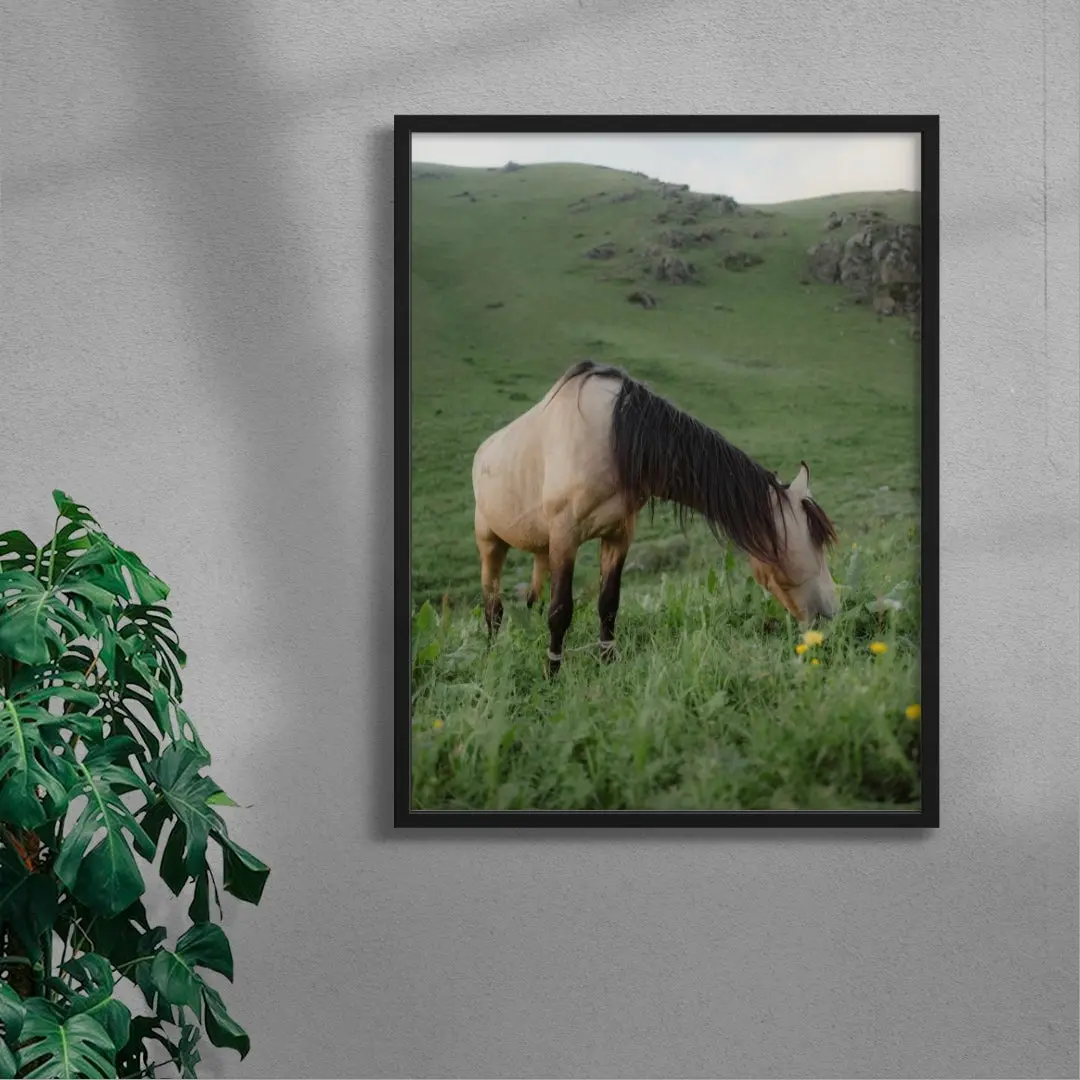 7437-graze-4.webp GRAZE