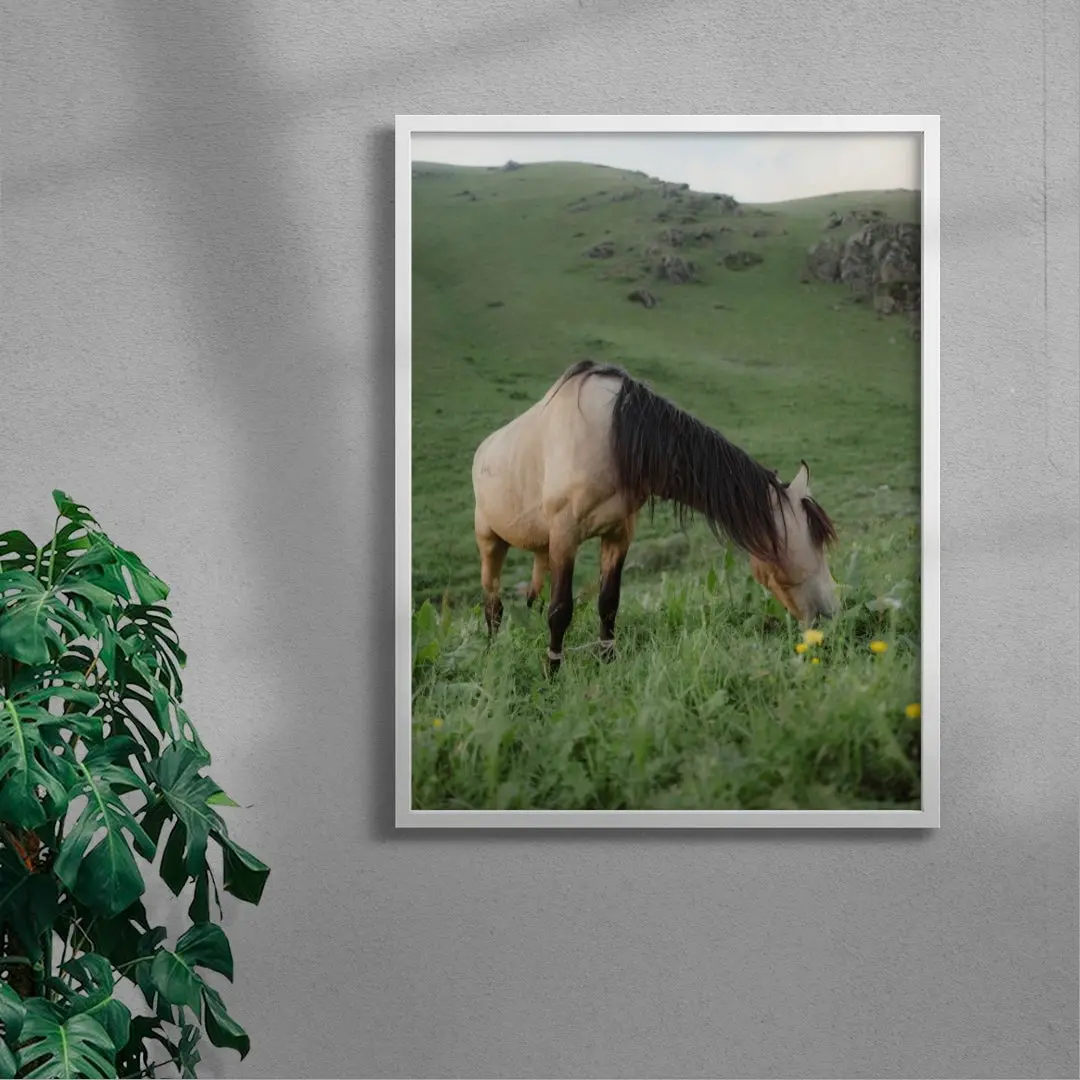 7437-graze-5.webp GRAZE