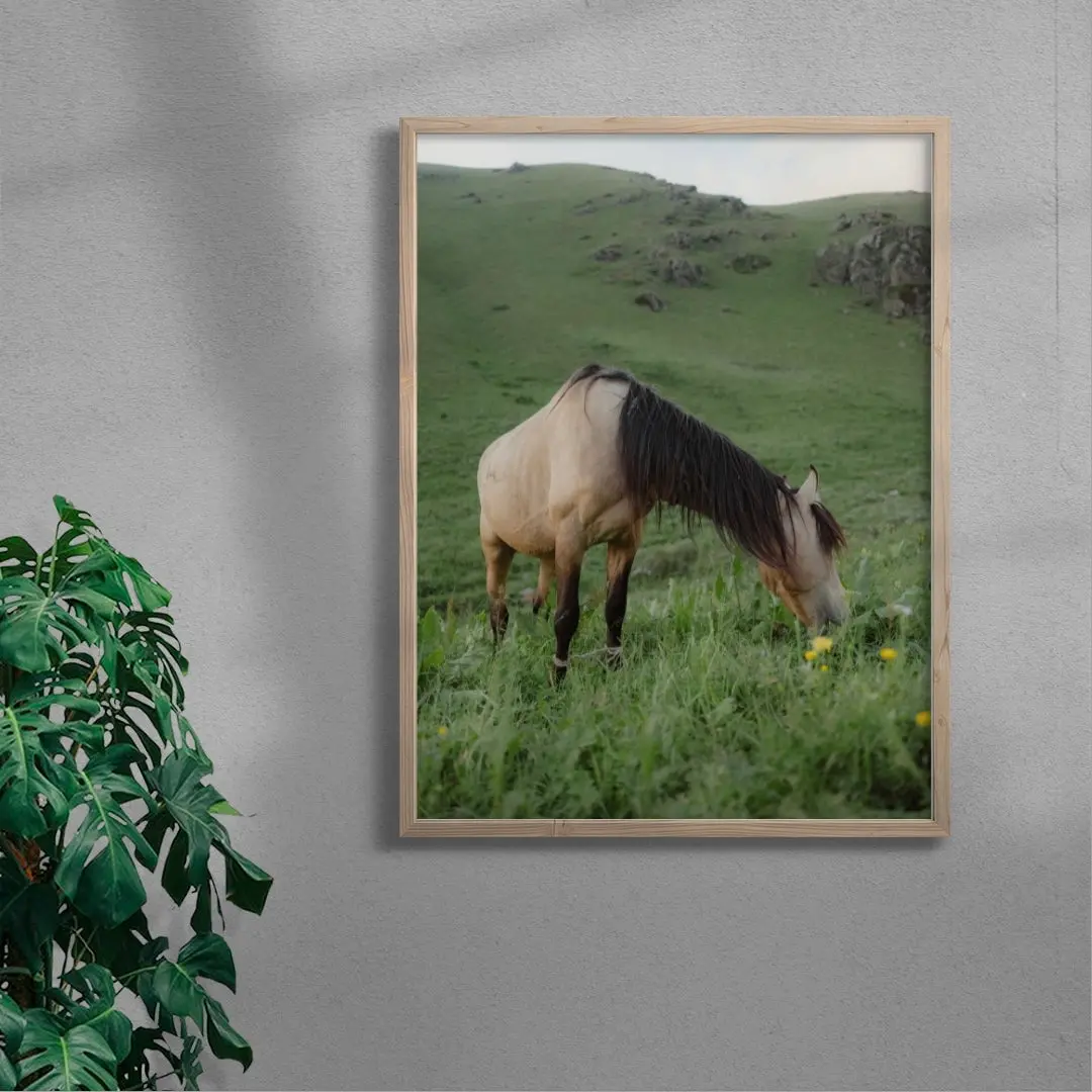 7437-graze-6.webp GRAZE