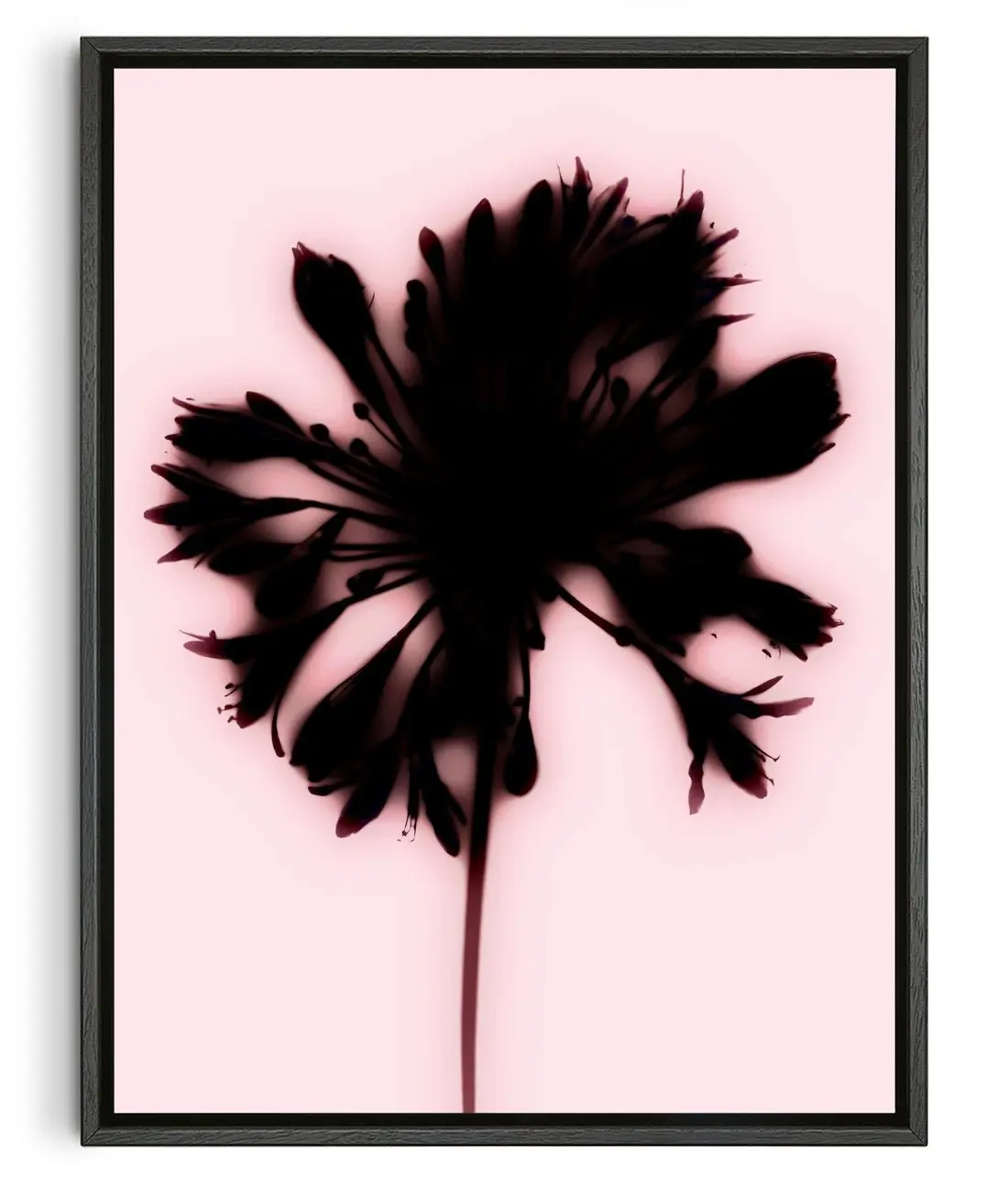 Blooming