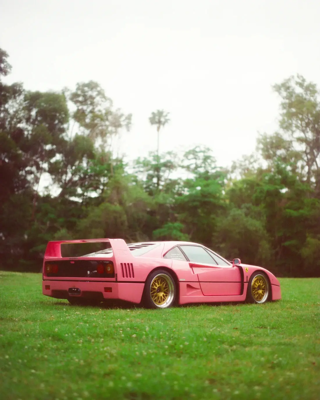 Pink Ferrari F40