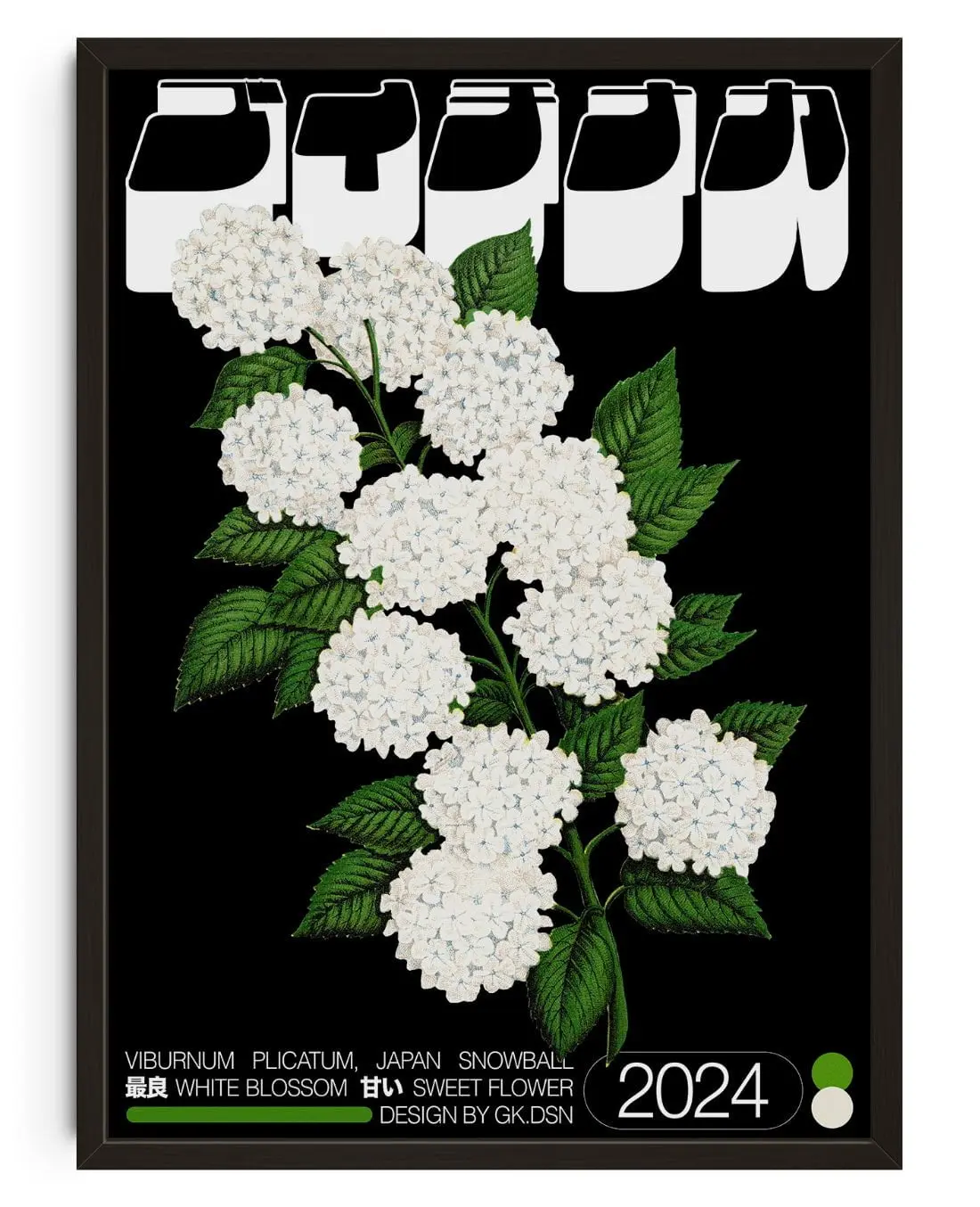 9951-viburnum-plicatum-1.webp Viburnum Plicatum